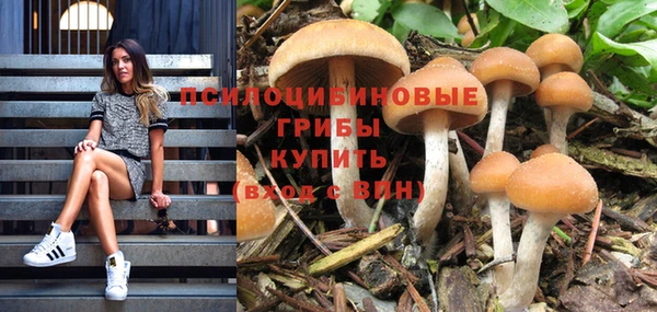 гашик Аркадак