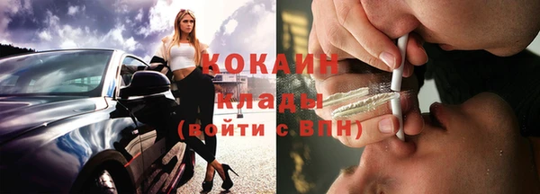 гашик Аркадак