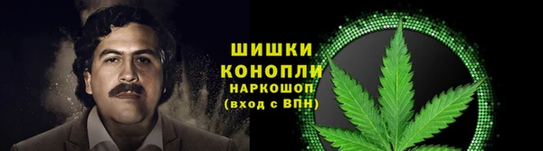 spice Арсеньев