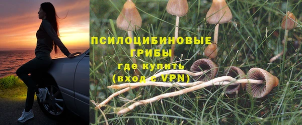 гашик Аркадак