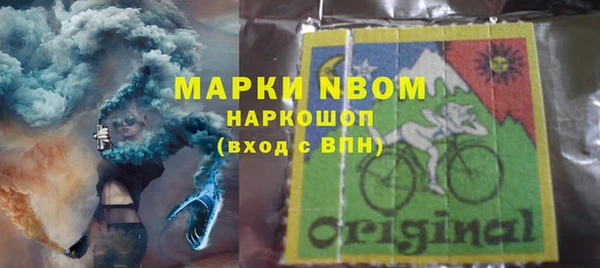 гашик Аркадак