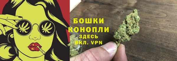 spice Арсеньев