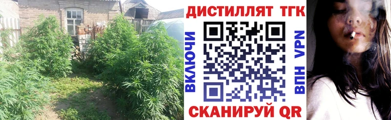 магазин    Приморско-Ахтарск  Дистиллят ТГК Wax 