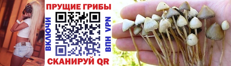 Псилоцибиновые грибы мухоморы Приморско-Ахтарск