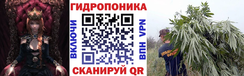 цена наркотик  Приморско-Ахтарск  Бошки марихуана семена 